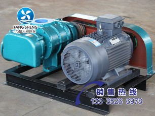 羅茨風機